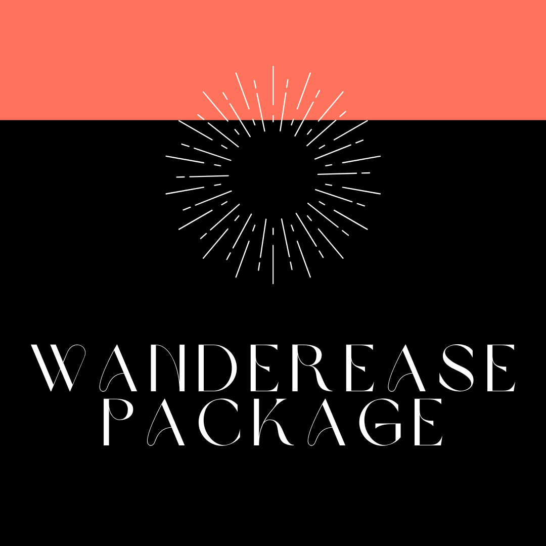 WanderEASE Package